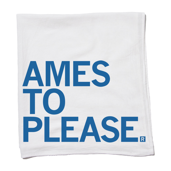 Ames To Please Kitchen Towel