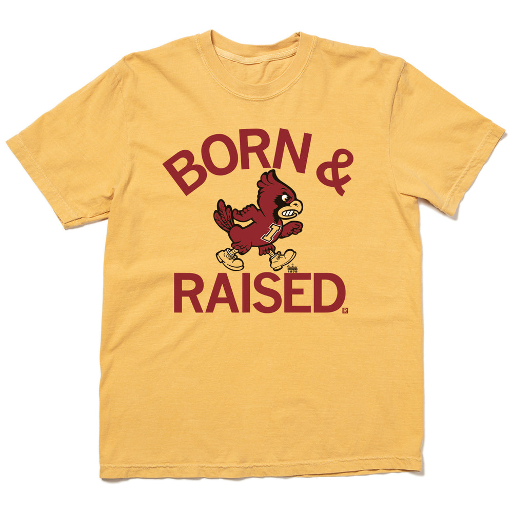 Cyclones Born & Raised Vintage Heavyweight