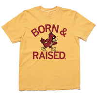Cyclones Born & Raised Vintage Heavyweight