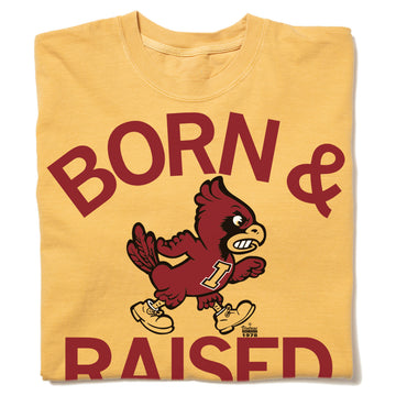 Yellow RAYGUN heavyweight T-shirt with the text BORN & RAISED in maroon, featuring a graphic of an Iowa State cardinal mascot wearing an I jersey and shoes.