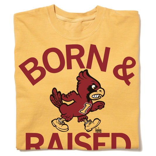 Yellow RAYGUN heavyweight T-shirt with the text BORN & RAISED in maroon, featuring a graphic of an Iowa State cardinal mascot wearing an I jersey and shoes.