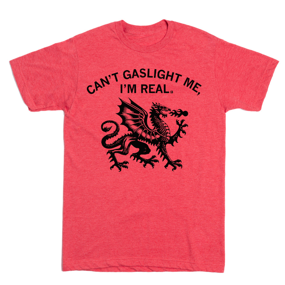 Can't Gaslight Me I'm Real