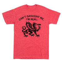 Can't Gaslight Me I'm Real