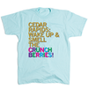 Heather Purist Blue t-shirt with the text CEDAR RAPIDS: WAKE UP & SMELL THE CRUNCH BERRIES! printed in yellow and multicolored letters.