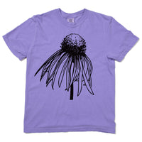 Pale Purple Coneflower Heavyweight