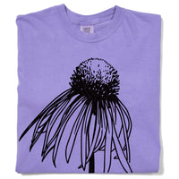 Pale Purple Coneflower Heavyweight