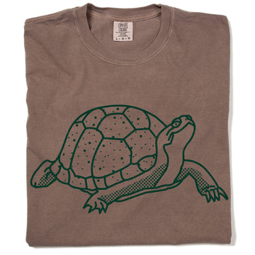 Espresso-colored heavyweight T-shirt featuring a green line-art illustration of a Blanding’s turtle.