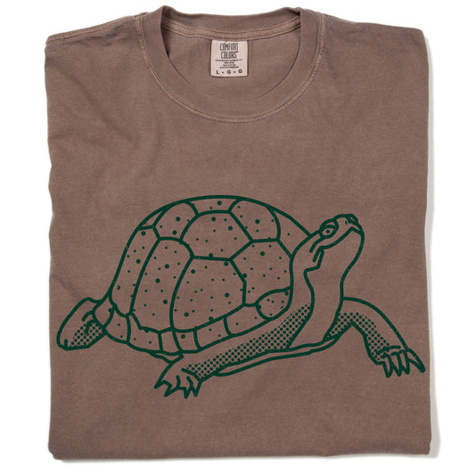 Espresso-colored heavyweight T-shirt featuring a green line-art illustration of a Blanding’s turtle.