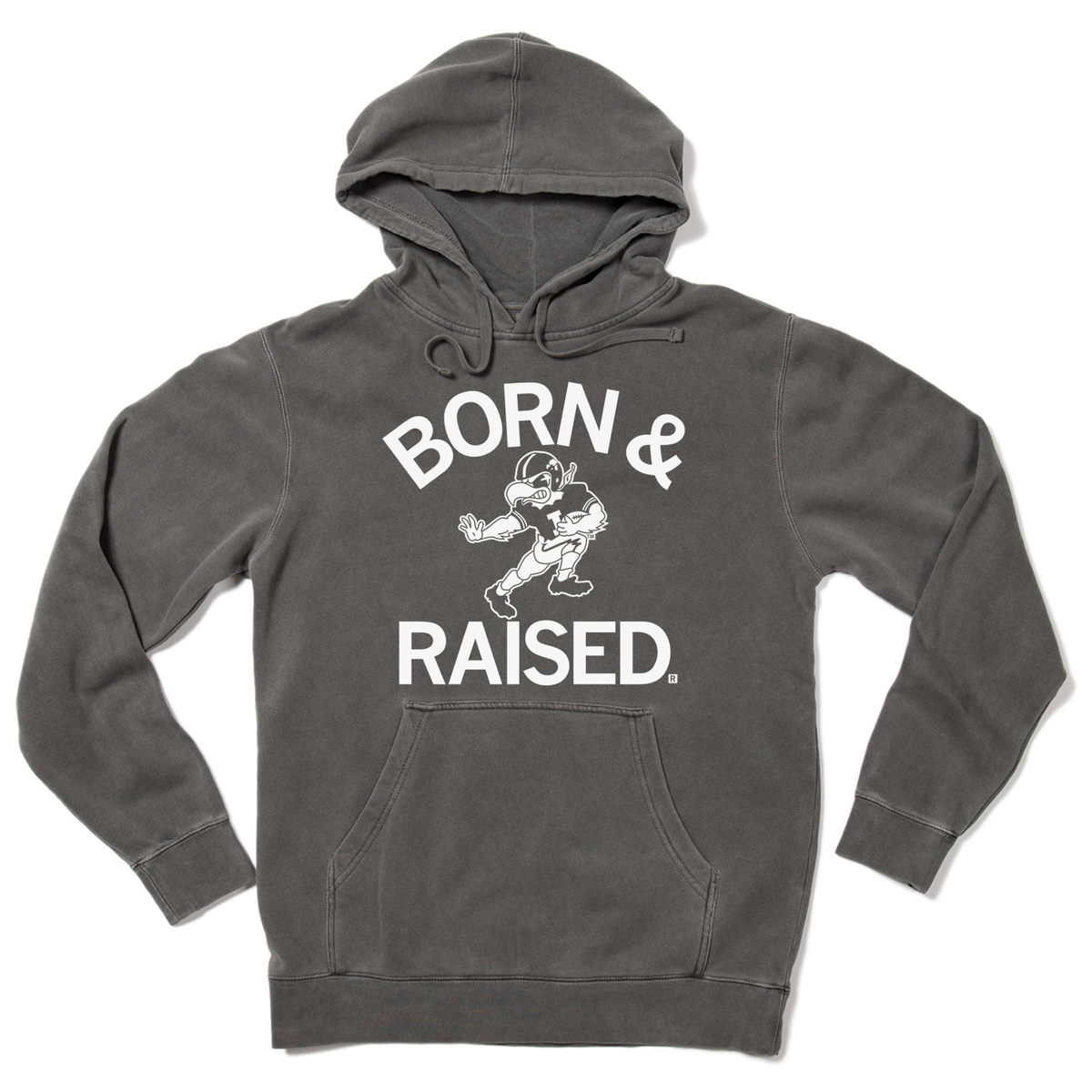 Charcoal gray RAYGUN pullover hooded sweatshirt with BORN & RAISED printed in white, featuring a cartoon bird in a football helmet in the center.