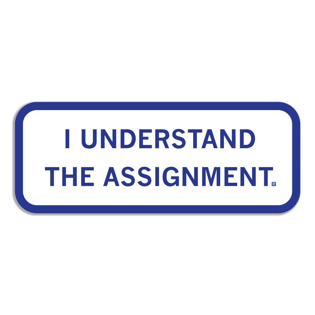 White rectangular RAYGUN die-cut vinyl sticker with a blue border and the text I UNDERSTAND THE ASSIGNMENT. in blue capital letters.