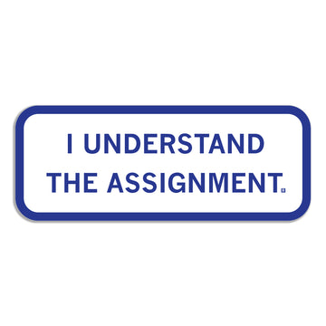 White rectangular RAYGUN die-cut vinyl sticker with a blue border and the text I UNDERSTAND THE ASSIGNMENT. in blue capital letters.