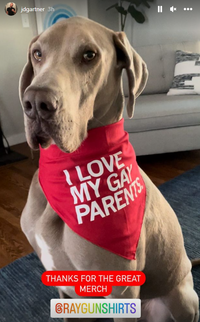 I Love My Gay Parents Dog Bandana
