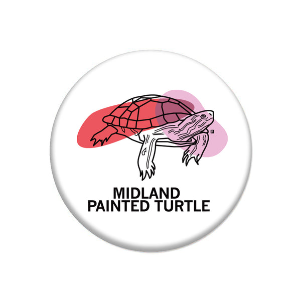 Midland Painted Turtle Button
