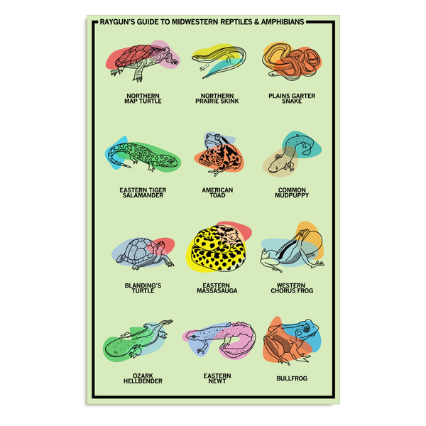 Midwestern Reptiles & Amphibians Poster