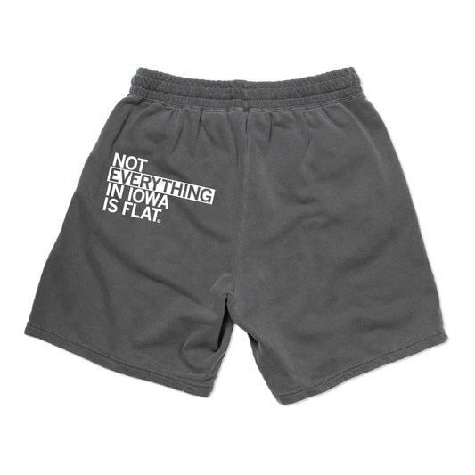 Charcoal grey RAYGUN sweat shorts with the white text NOT EVERYTHING IN IOWA IS FLAT. printed on the left leg.