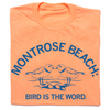 Montrose Beach bird shirt