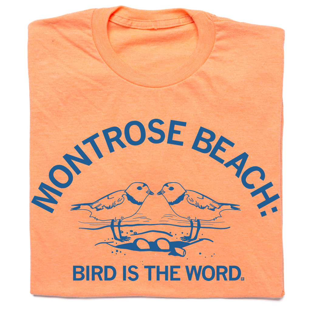 Montrose Beach bird shirt