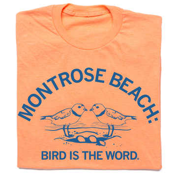 Montrose Beach bird shirt
