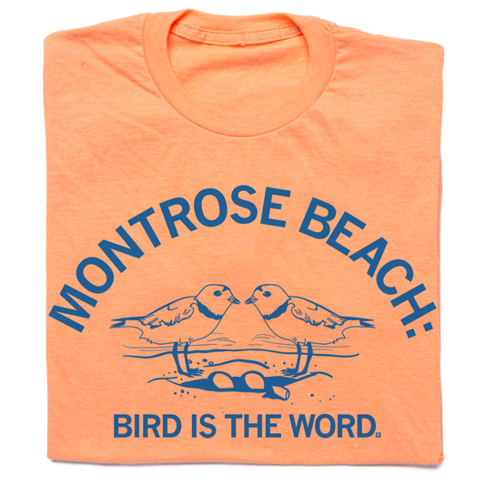Montrose Beach bird shirt