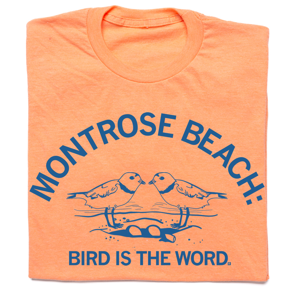 Montrose Beach bird shirt