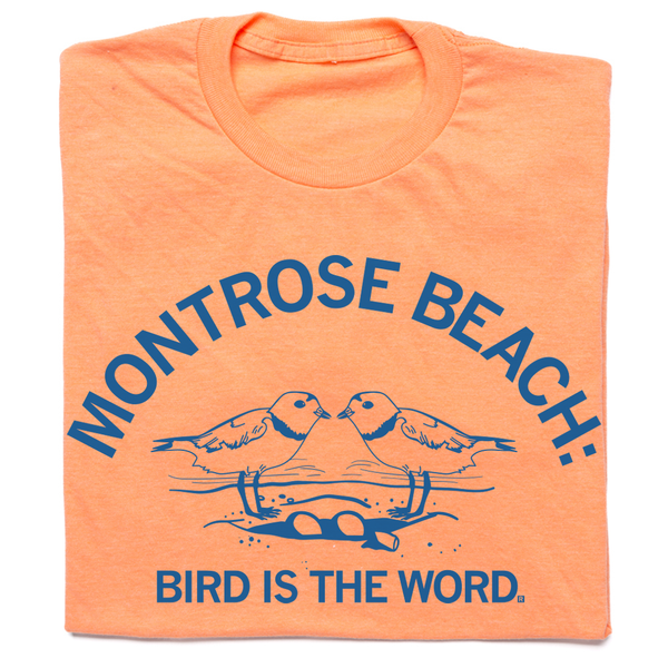Montrose Beach bird shirt