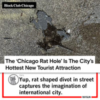 Chicago Rat Hole