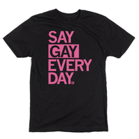 Say Gay Every Day Pride Shirt