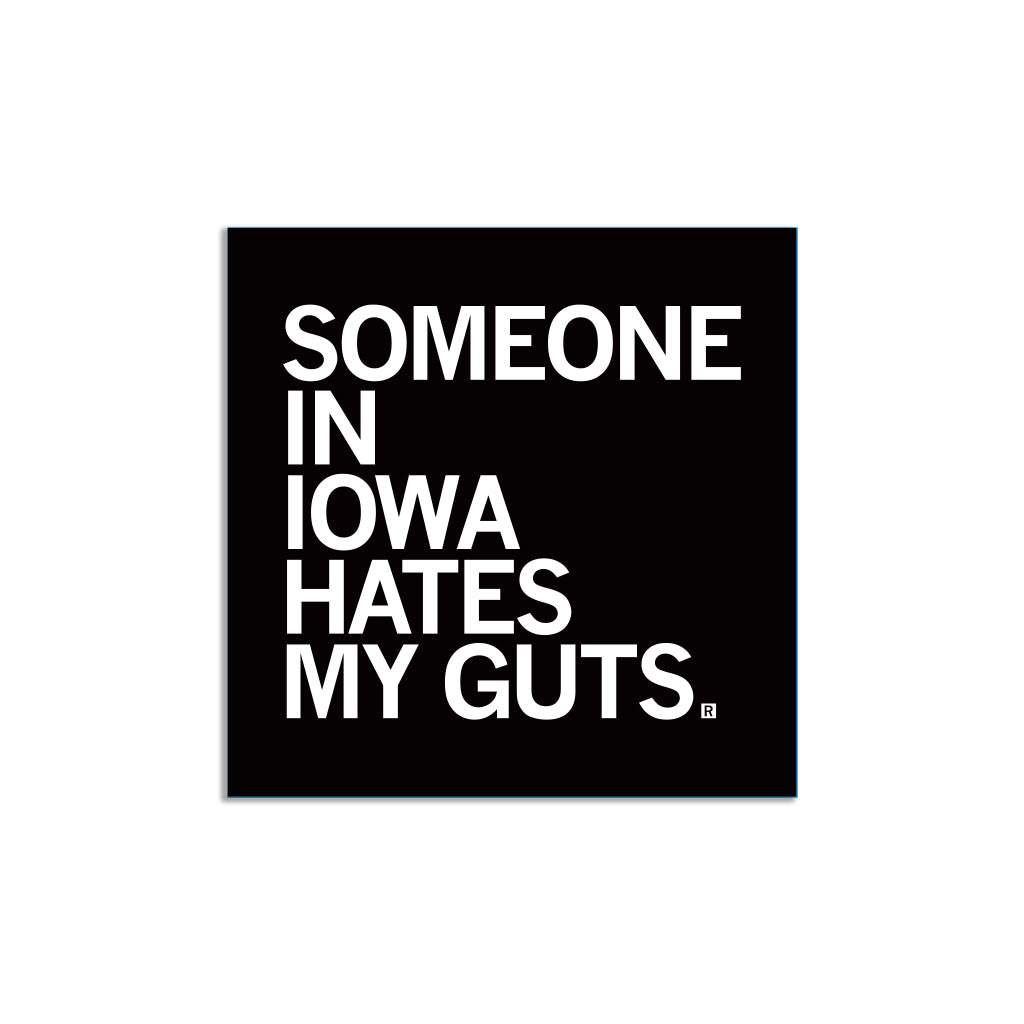Square RAYGUN vinyl sticker with a black background and the white text, SOMEONE IN IOWA HATES MY GUTS.