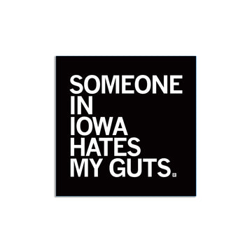 Square RAYGUN vinyl sticker with a black background and the white text, SOMEONE IN IOWA HATES MY GUTS.