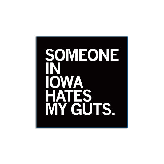Square RAYGUN vinyl sticker with a black background and the white text, SOMEONE IN IOWA HATES MY GUTS.