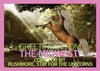 A rearing unicorn in a forest, depicted on a Midwest postcard with the text: Greetings from the Midwest! Come for Mt. Rushmore, stay for the unicorns.