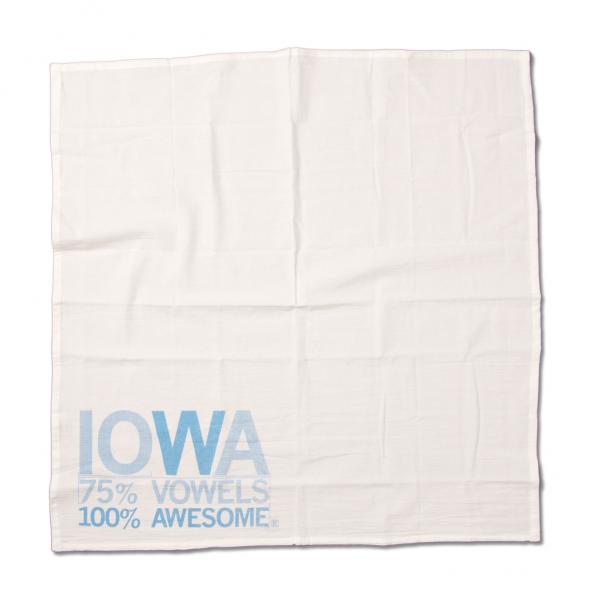 Iowa Vowels Kitchen Towel