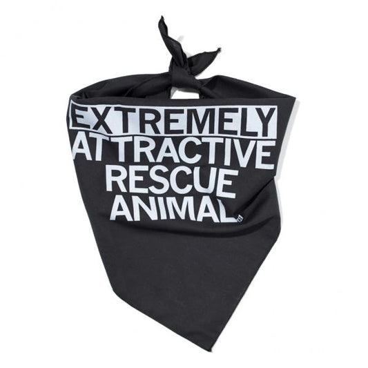 Black RAYGUN pet bandana featuring the white text EXTREMELY ATTRACTIVE RESCUE ANIMAL.