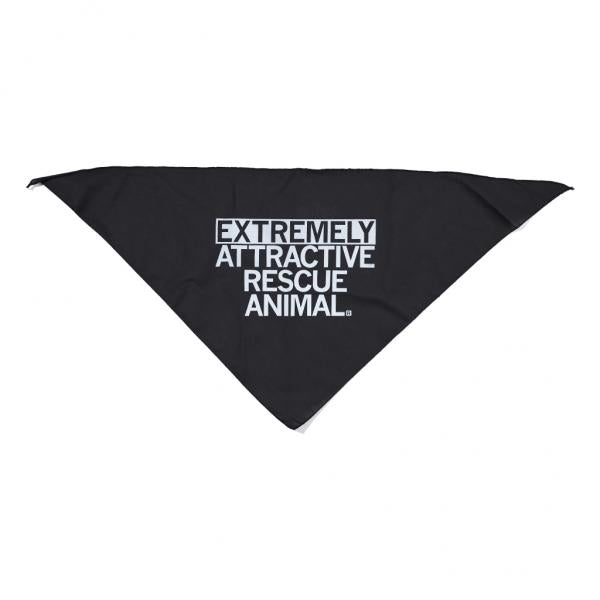 Extremely Attractive Dog Bandana