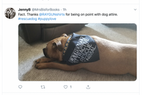 Extremely Attractive Dog Bandana