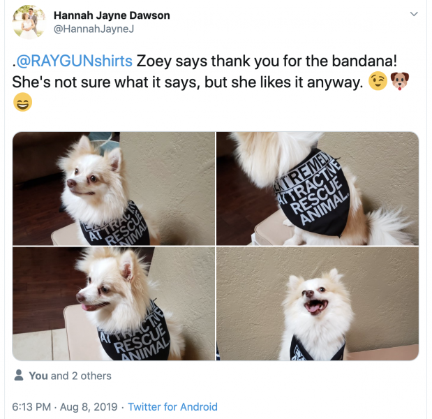 Extremely Attractive Dog Bandana