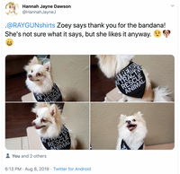 Extremely Attractive Dog Bandana