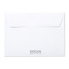 A plain white Made in the USA greeting card envelope with RAYGUN printed in grey near the bottom center.