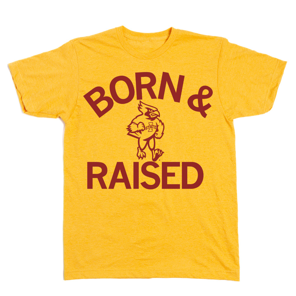 Iowa State Born & Raised T-Shirt