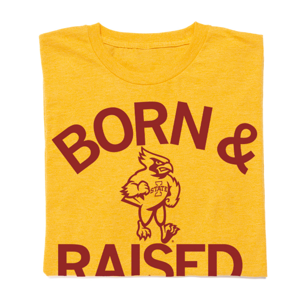 Cyclones Born & Raised Shirt