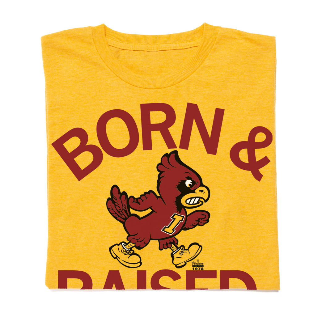 Iowa State Born and Raised Vintage Cy Shirt