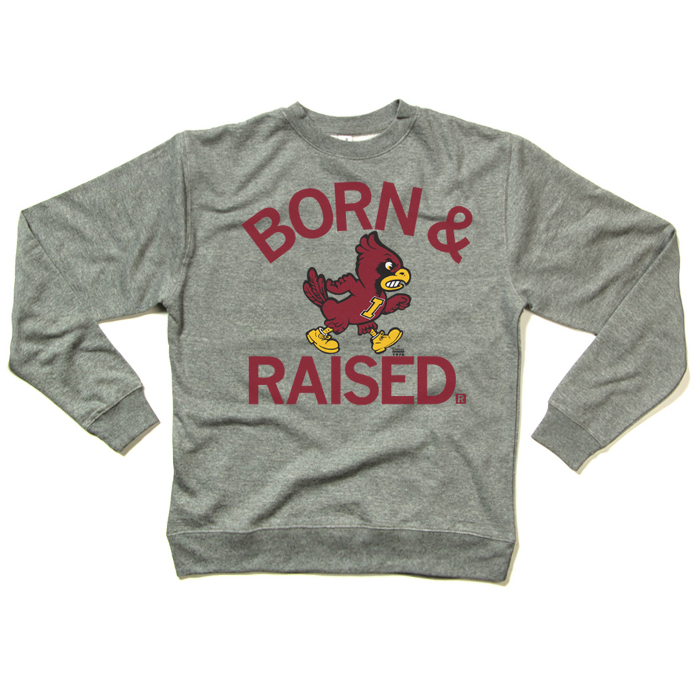 Cyclones Born Raised Vintage Grey Crew Sweatshirt RAYGUN