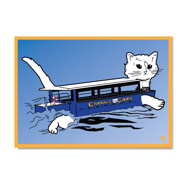 Channel Cat Postcard