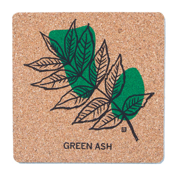 Square cork coaster featuring a black line drawing of a Green Ash leaf over a green abstract shape, with the text GREEN ASH printed at the bottom from the Midwestern Leaves collection.