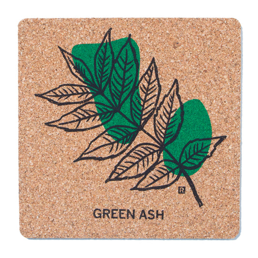 Square cork coaster featuring a black line drawing of a Green Ash leaf over a green abstract shape, with the text GREEN ASH printed at the bottom from the Midwestern Leaves collection.