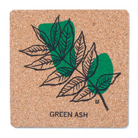 Green Ash Cork Coaster
