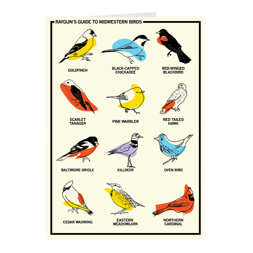 RAYGUN's Guide To Midwestern Birds Greeting Card