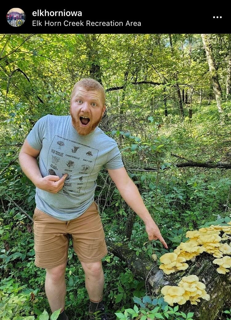 Midwestern Mushrooms