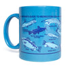 Hawaiian blue RAYGUN mug illustrated with a guide to Midwestern fish, including labeled drawings of a channel catfish, black bullhead catfish, muskellunge, paddlefish, perch, and brook trout.