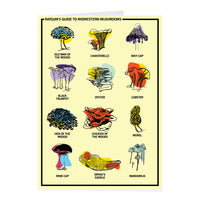 Midwestern Mushrooms Greeting Card